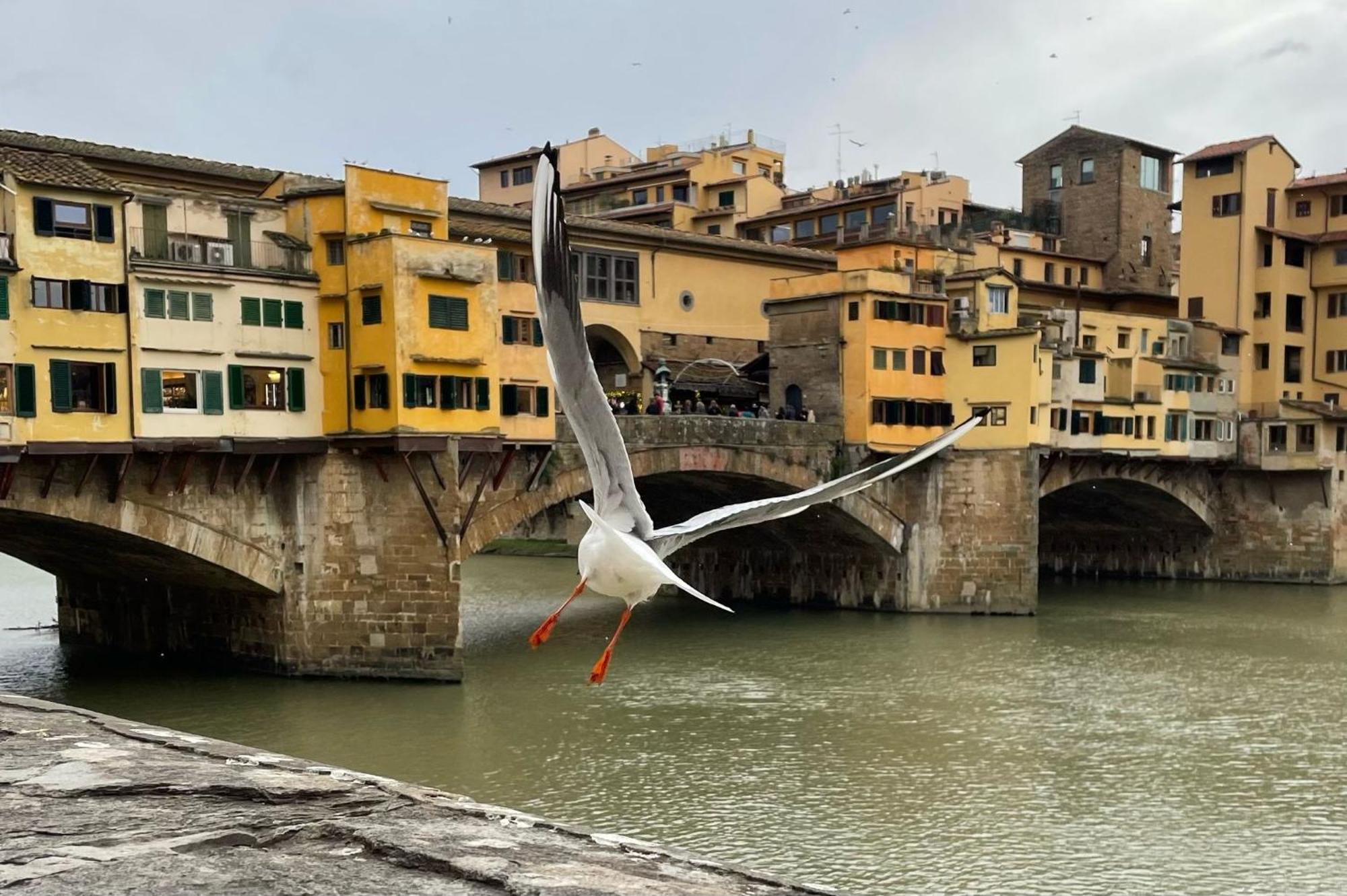 Appartement Vintage In The Heart Of Florence